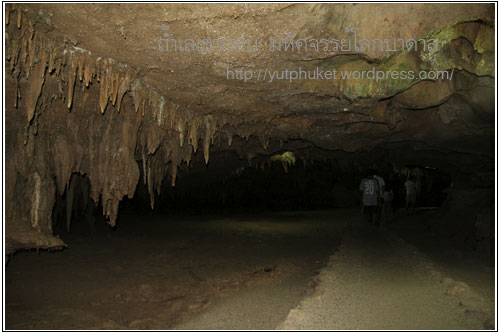 คลิกที่รูป เพื่อดูขนาดขยาย