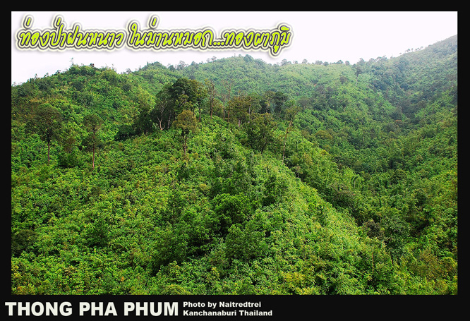 คลิก ที่รูปเพื่อดูขนาดขยาย