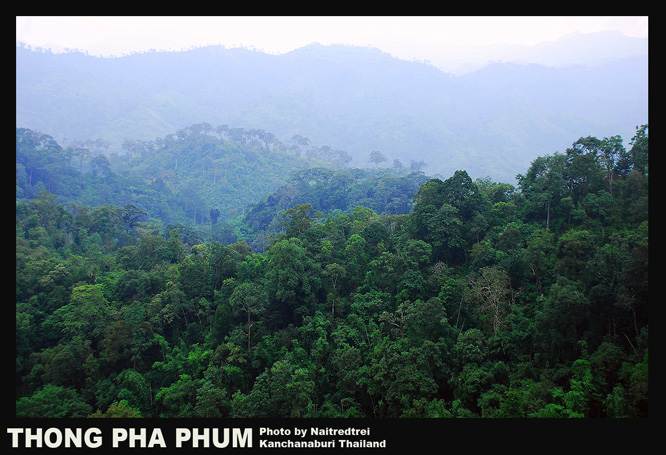 คลิกที่รูป เพื่อดูขนาดขยาย