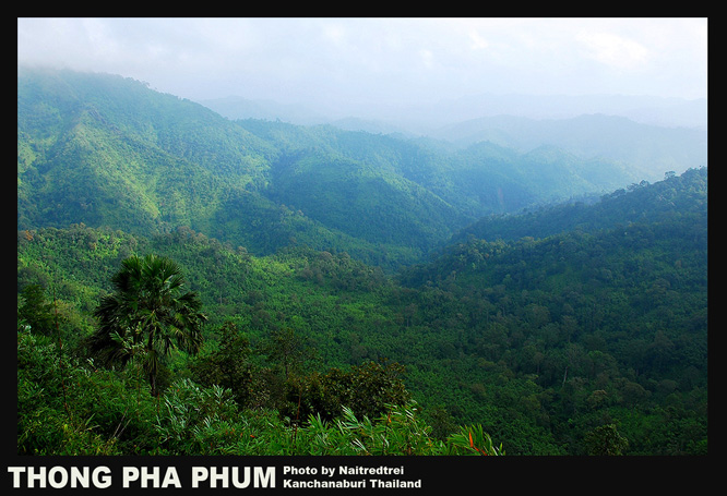 คลิกที่รูป เพื่อดูขนาดขยาย
