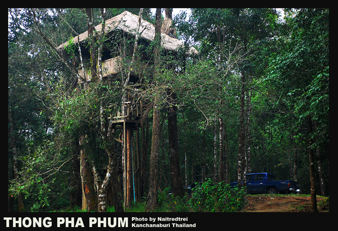 คลิกที่รูป เพื่อดูขนาดขยาย