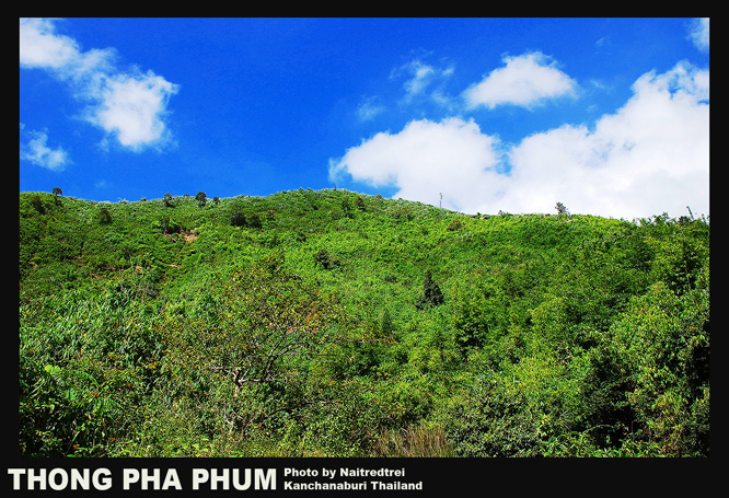 คลิกที่รูป เพื่อดูขนาดขยาย