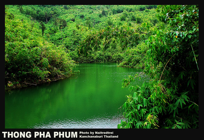 คลิกที่รูป เพื่อดูขนาดขยาย