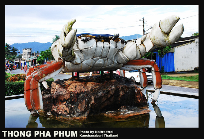 คลิกที่รูป เพื่อดูขนาดขยาย