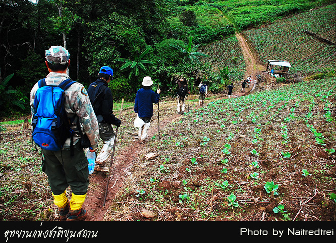 คลิกที่รูป เพื่อดูขนาดขยาย