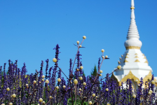 คลิกที่รูป เพื่อดูขนาดขยาย
