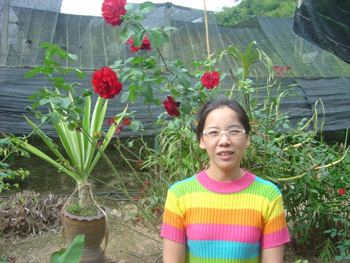คลิกที่รูป เพื่อดูขนาดขยาย