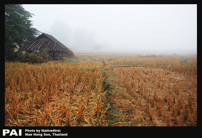 คลิกที่รูป เพื่อดูขนาดขยาย