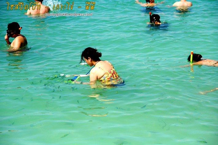 คลิกที่รูป เพื่อดูขนาดขยาย