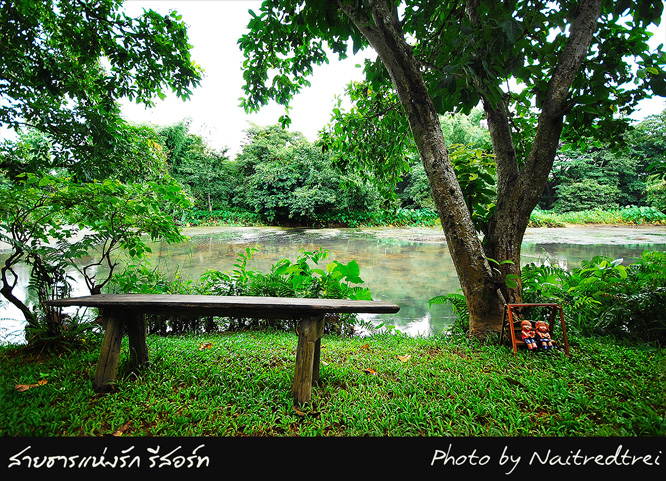 คลิกที่รูป เพื่อดูขนาดขยาย