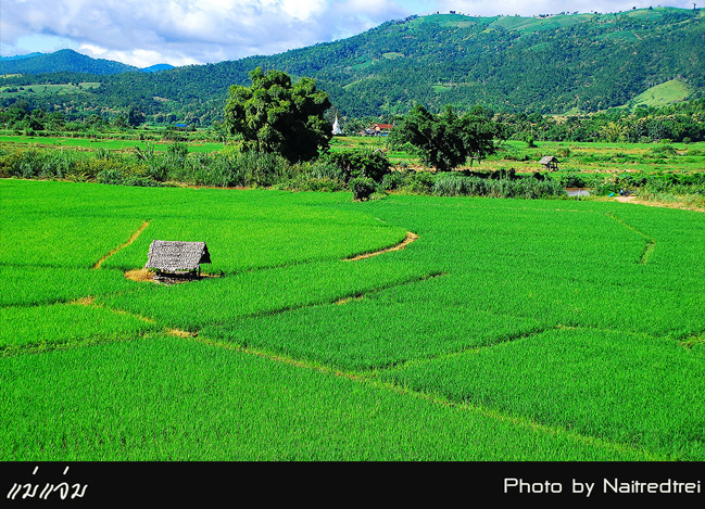 คลิกที่รูป เพื่อดูขนาดขยาย