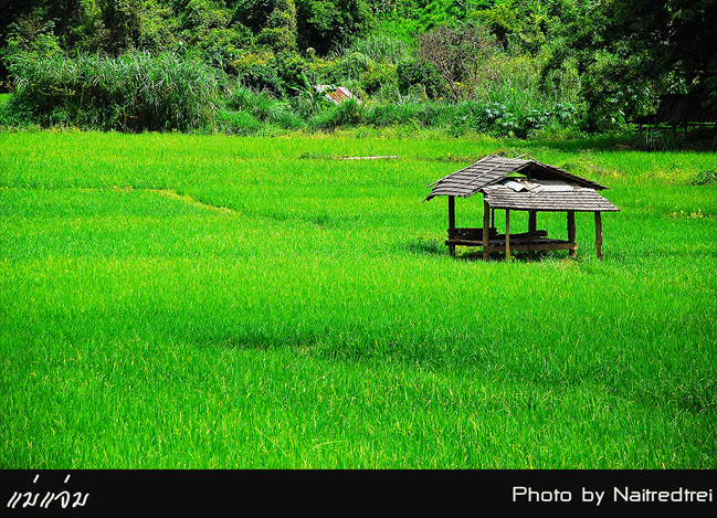 คลิกที่รูป เพื่อดูขนาดขยาย