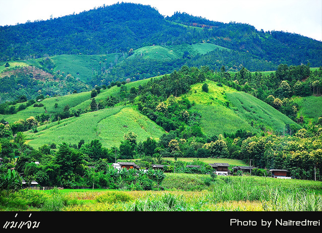 คลิกที่รูป เพื่อดูขนาดขยาย