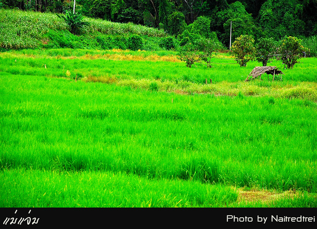 คลิกที่รูป เพื่อดูขนาดขยาย