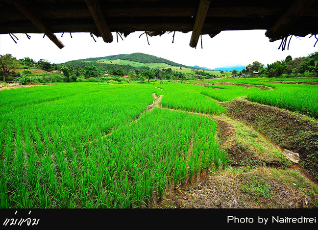 คลิกที่รูป เพื่อดูขนาดขยาย