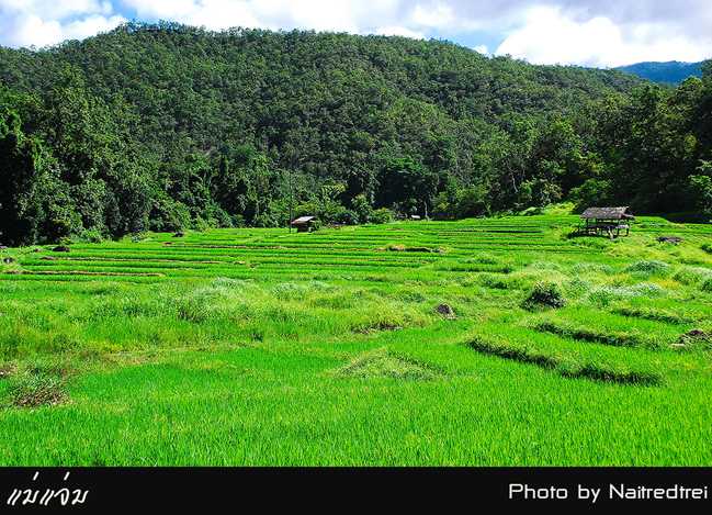 คลิกที่รูป เพื่อดูขนาดขยาย