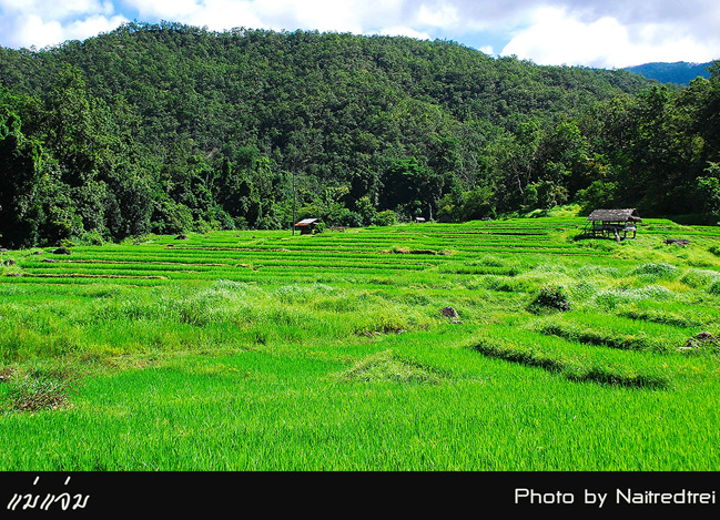 คลิกที่รูป เพื่อดูขนาดขยาย