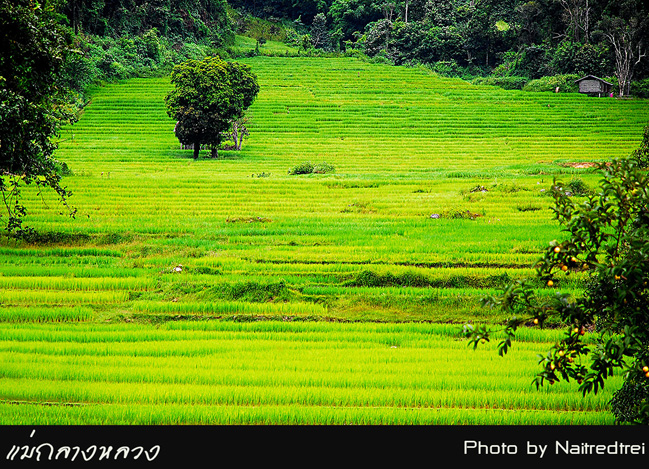 คลิกที่รูป เพื่อดูขนาดขยาย