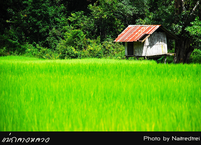 คลิกที่รูป เพื่อดูขนาดขยาย