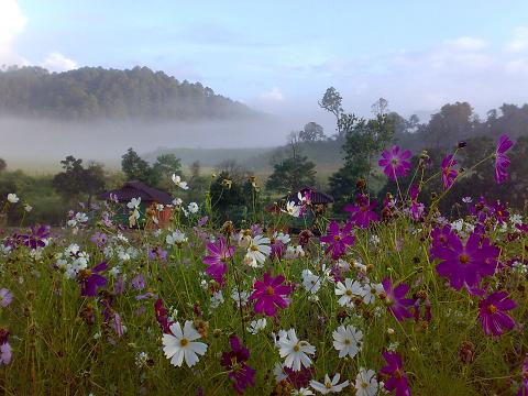 คลิกที่รูป เพื่อดูขนาดขยาย