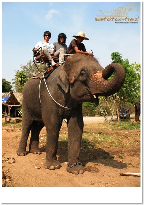 คลิกที่รูป เพื่อดูขนาดขยาย