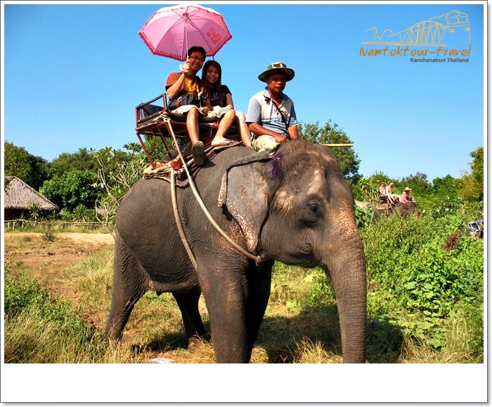 คลิกที่รูป เพื่อดูขนาดขยาย