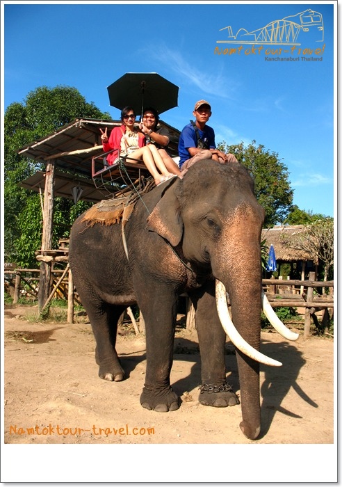คลิกที่รูป เพื่อดูขนาดขยาย
