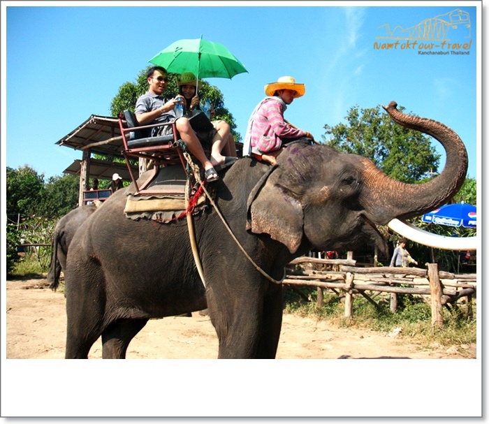 คลิกที่รูป เพื่อดูขนาดขยาย