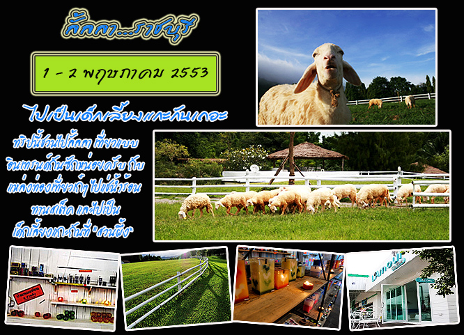 คลิกที่รูป เพื่อดูขนาดขยาย