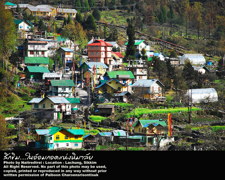 คลิกที่รูป เพื่อดูขนาดขยาย