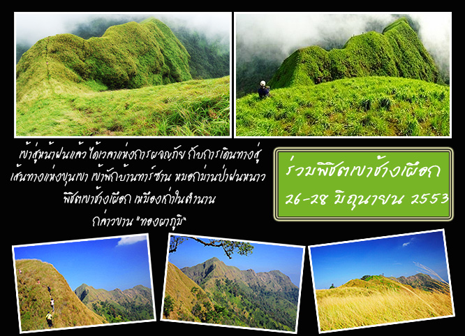 คลิกที่รูป เพื่อดูขนาดขยาย
