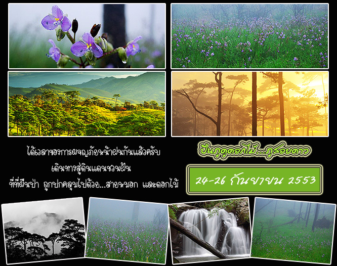 คลิกที่รูป เพื่อดูขนาดขยาย