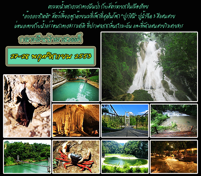 คลิกที่รูป เพื่อดูขนาดขยาย