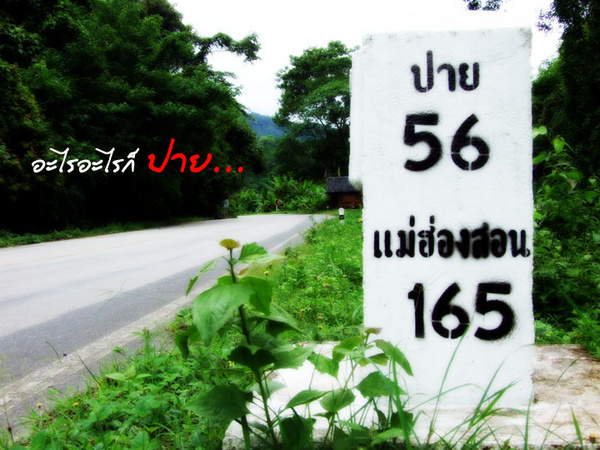 คลิก ที่รูปเพื่อดูขนาดขยาย