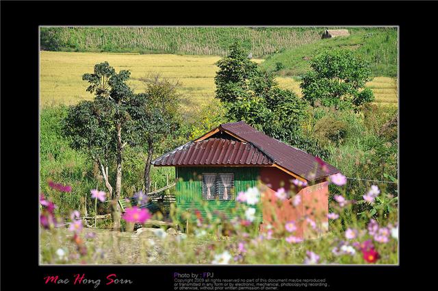 คลิก ที่รูปเพื่อดูขนาดขยาย