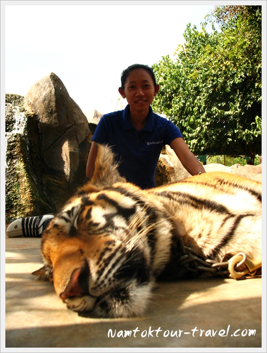 คลิกที่รูป เพื่อดูขนาดขยาย