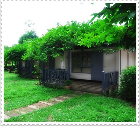 คลิก ที่รูปเพื่อดูขนาดขยาย