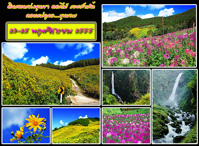 คลิกที่รูป เพื่อดูขนาดขยาย