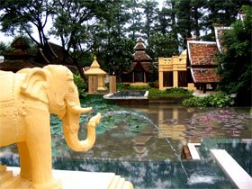 Dhara Dhevi